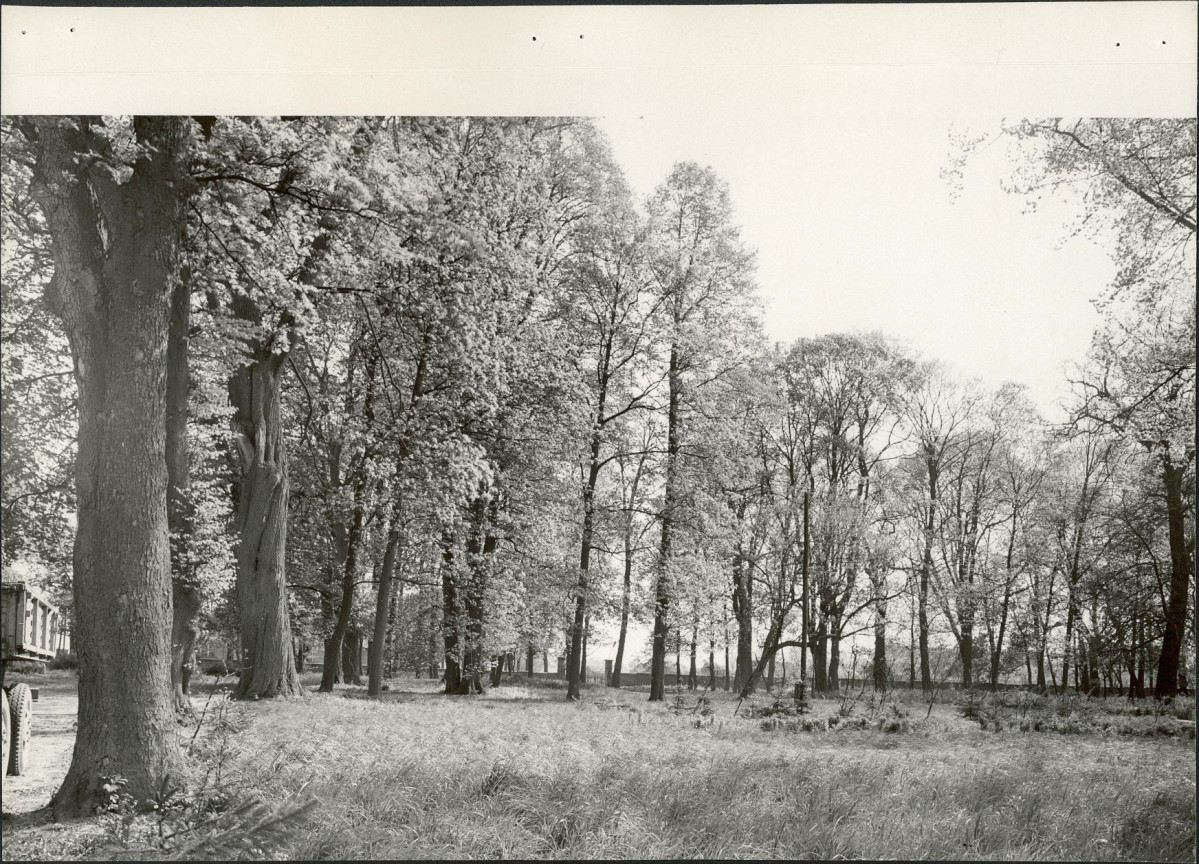 Ewidencja parkowa, skan nr 22