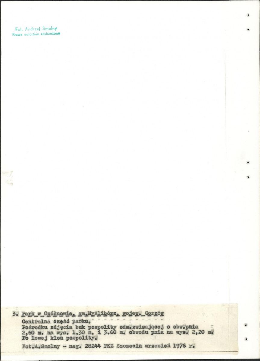 Ewidencja parkowa, skan nr 21