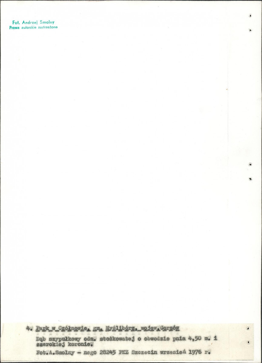 Ewidencja parkowa, skan nr 23