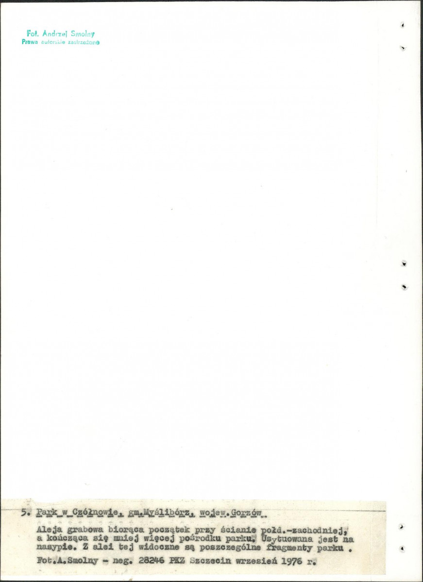 Ewidencja parkowa, skan nr 25