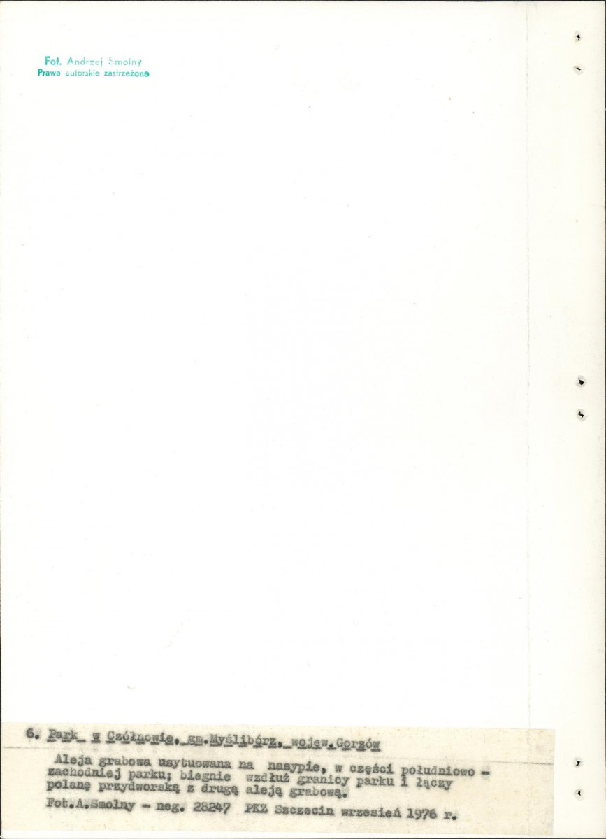 Ewidencja parkowa, skan nr 27