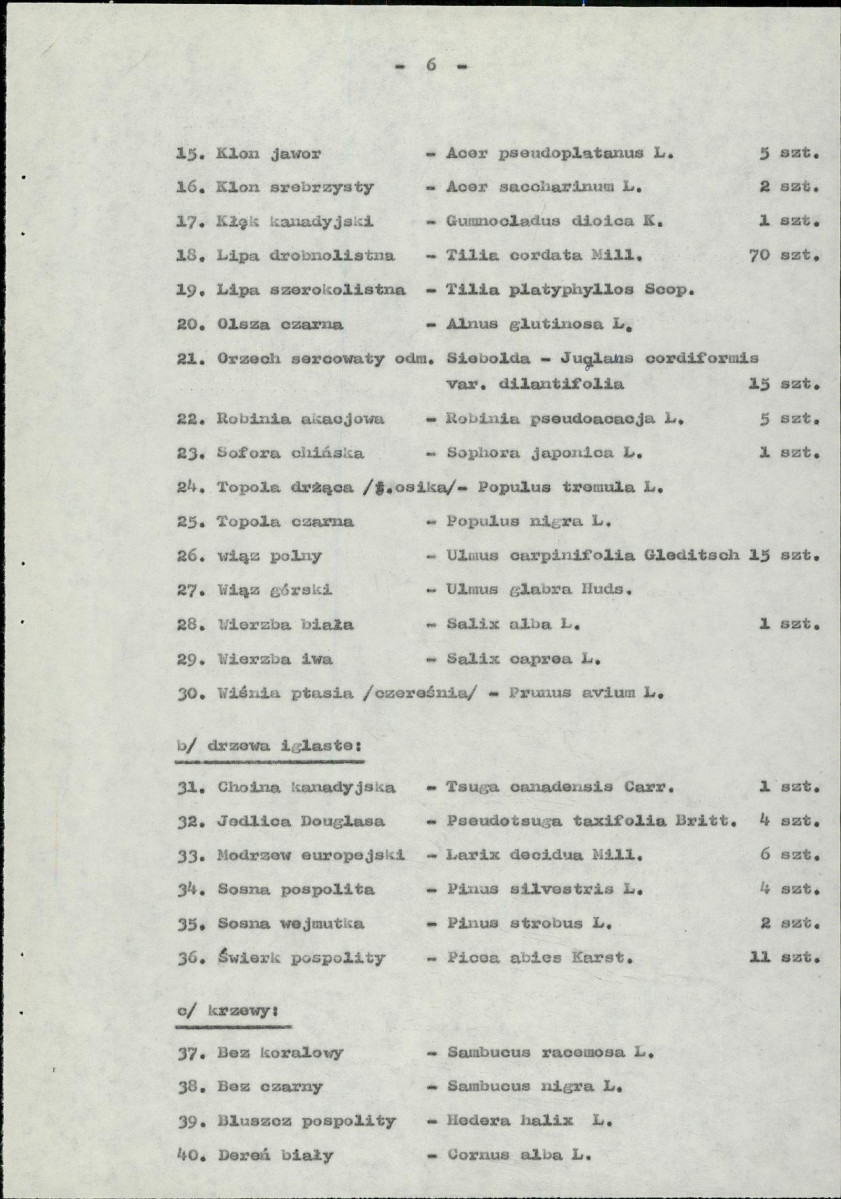 Ewidencja parkowa, skan nr 11