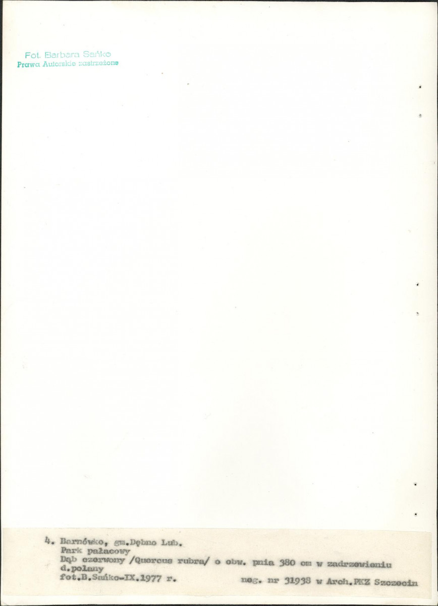 Ewidencja parkowa, skan nr 29