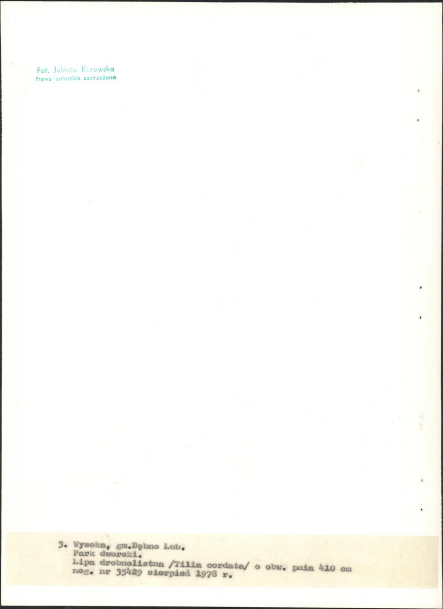 Ewidencja parkowa, skan nr 23