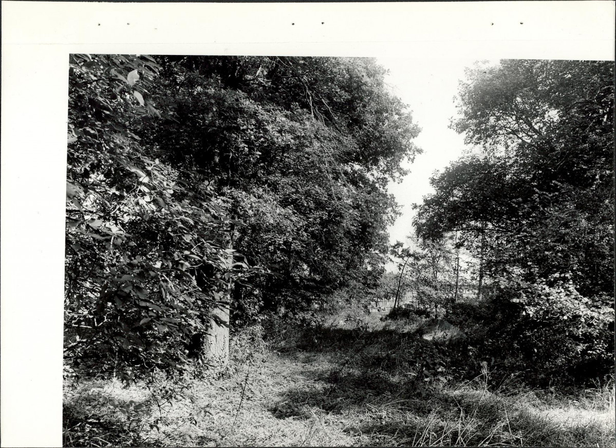 Ewidencja parkowa, skan nr 26
