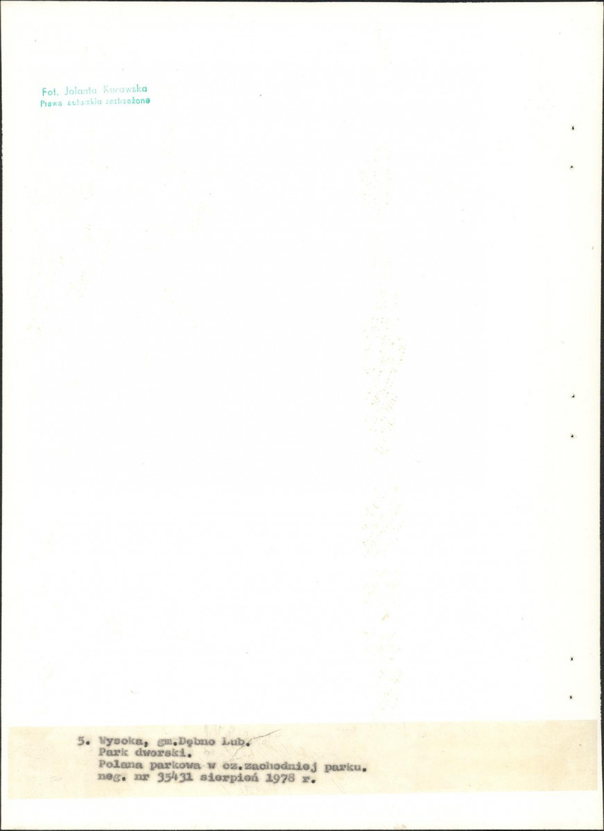 Ewidencja parkowa, skan nr 27
