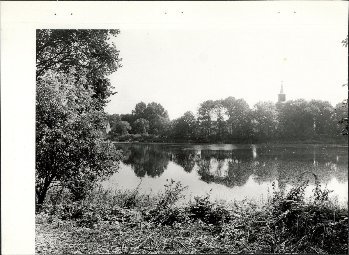 Ewidencja parkowa, skan nr 28