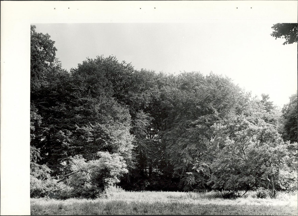Ewidencja parkowa, skan nr 26