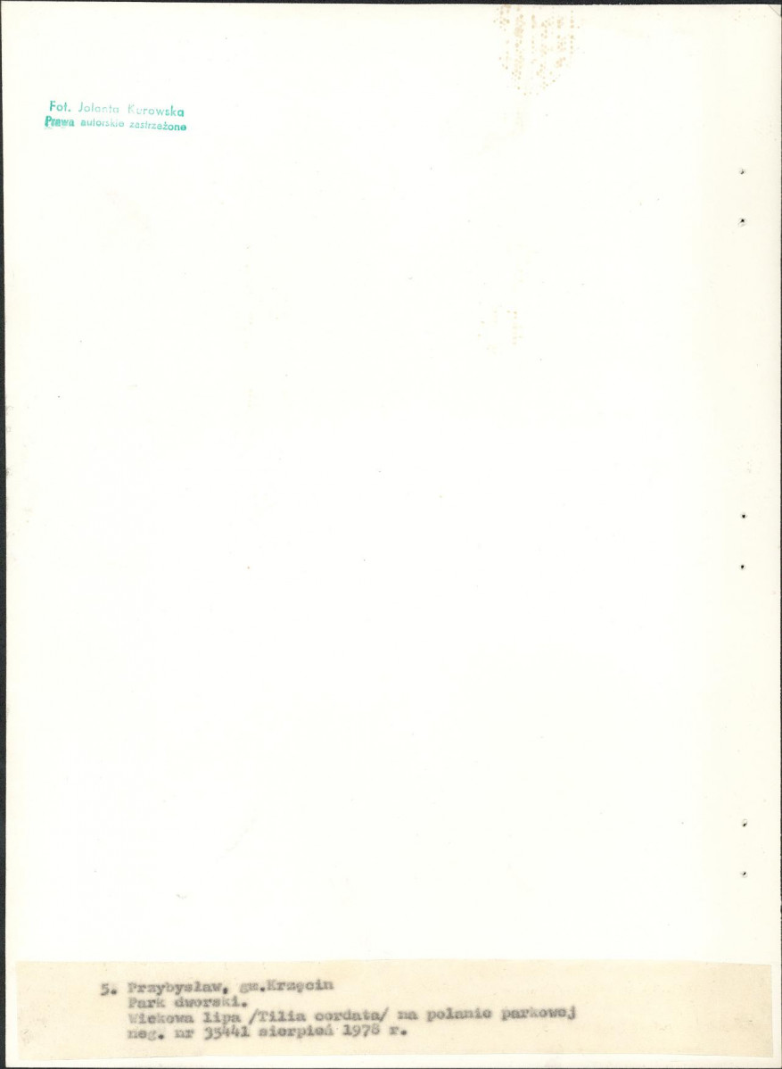 Ewidencja parkowa, skan nr 29