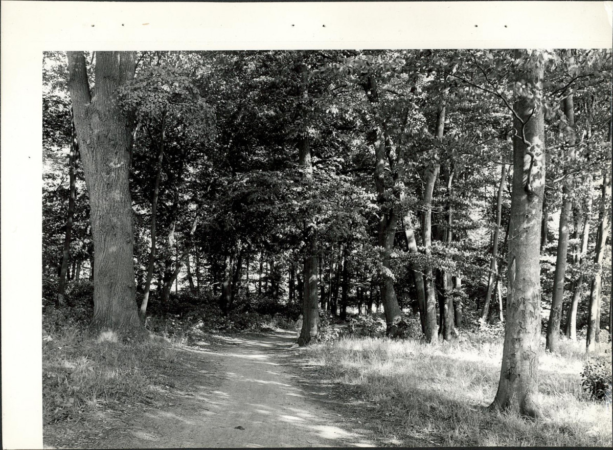 Ewidencja parkowa, skan nr 24