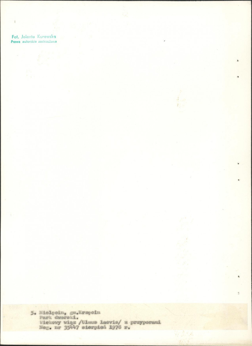Ewidencja parkowa, skan nr 27