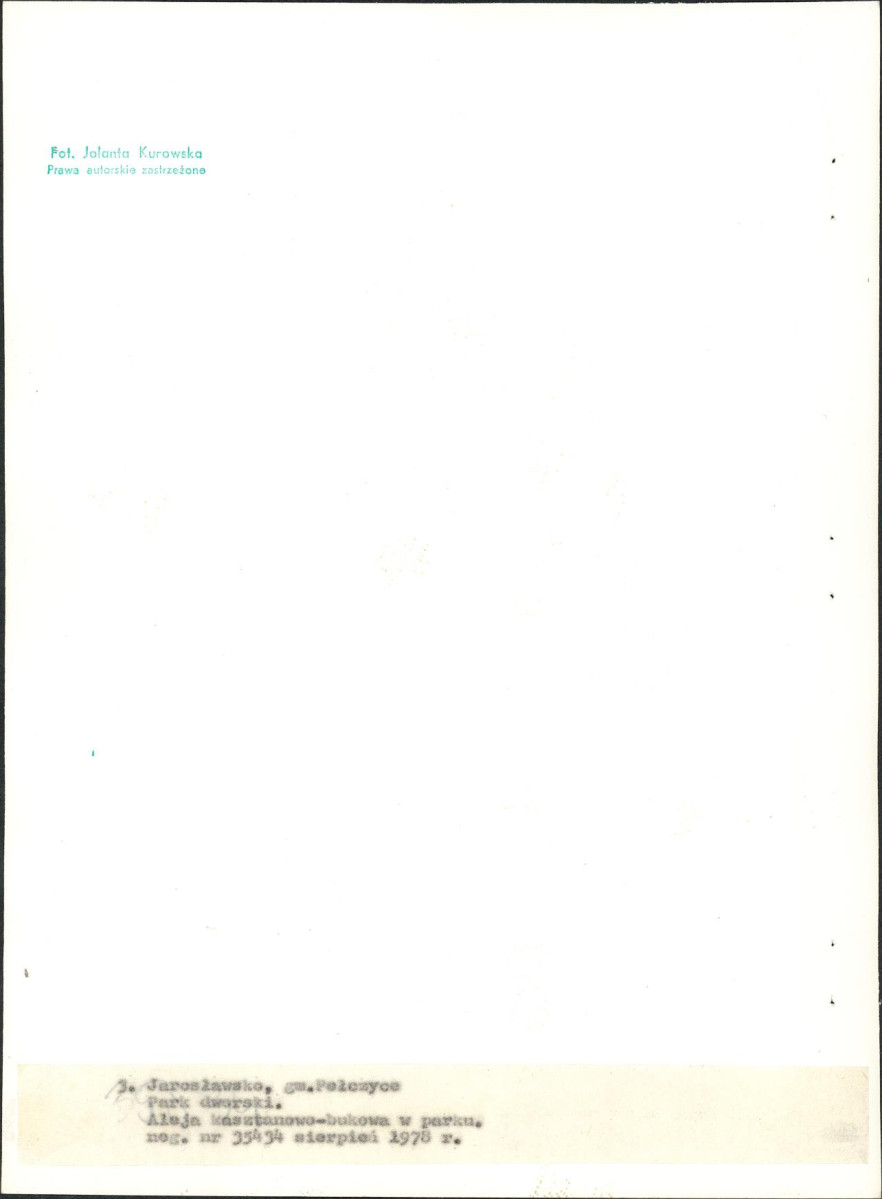 EP - Ewidencja parkowa, skan nr 27