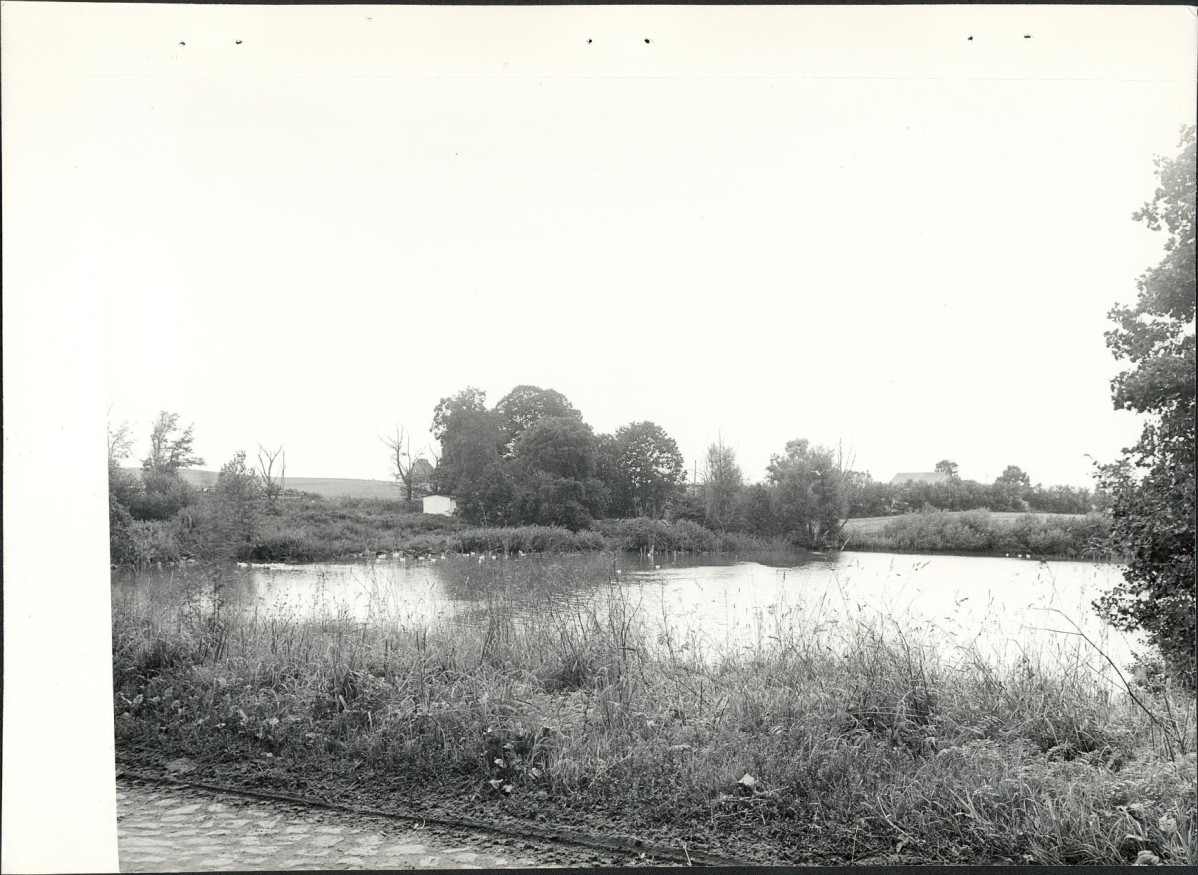 EP - Ewidencja parkowa, skan nr 32