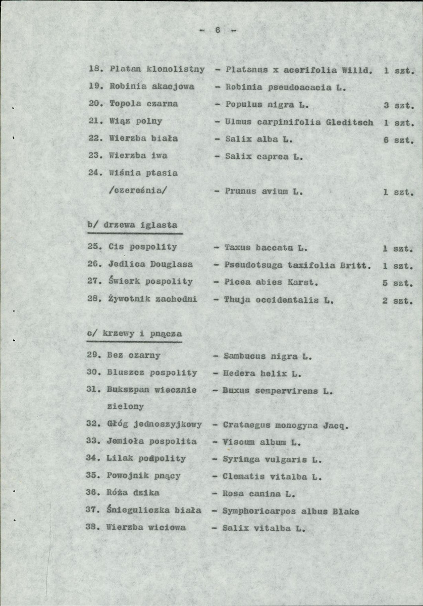 Ewidencja parkowa, skan nr 11