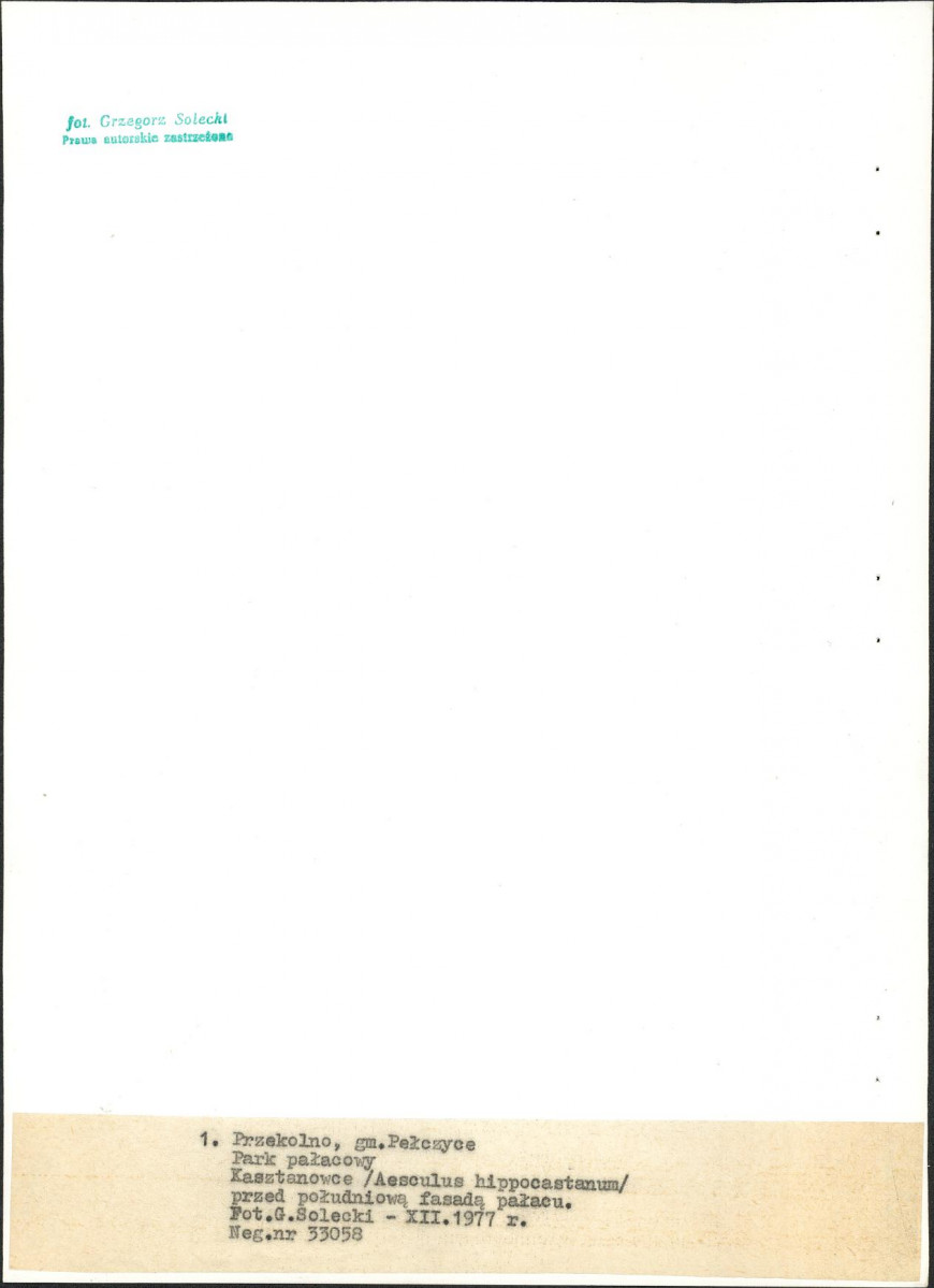 Ewidencja parkowa, skan nr 22