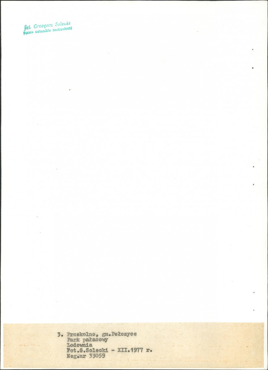 Ewidencja parkowa, skan nr 26