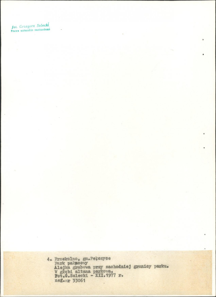 Ewidencja parkowa, skan nr 28