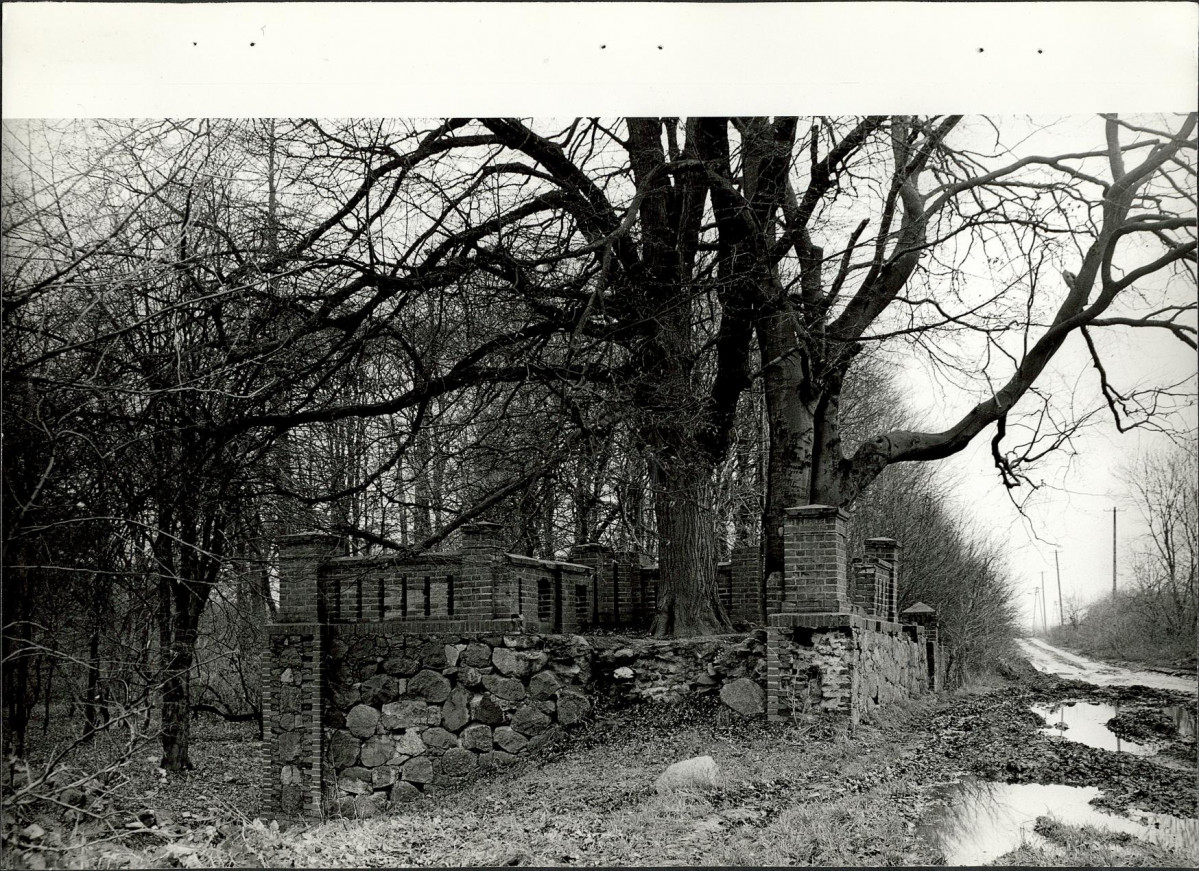Ewidencja parkowa, skan nr 29