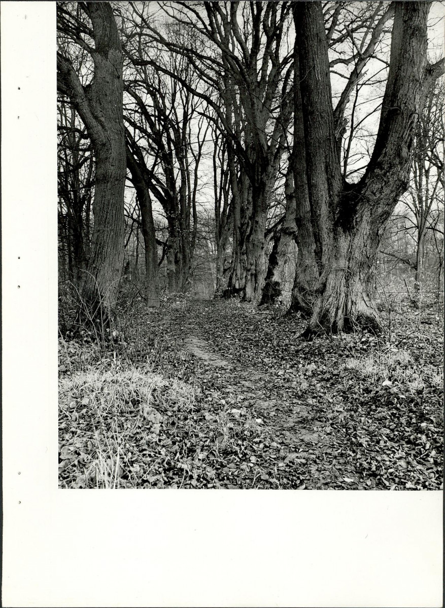 Ewidencja parkowa, skan nr 30