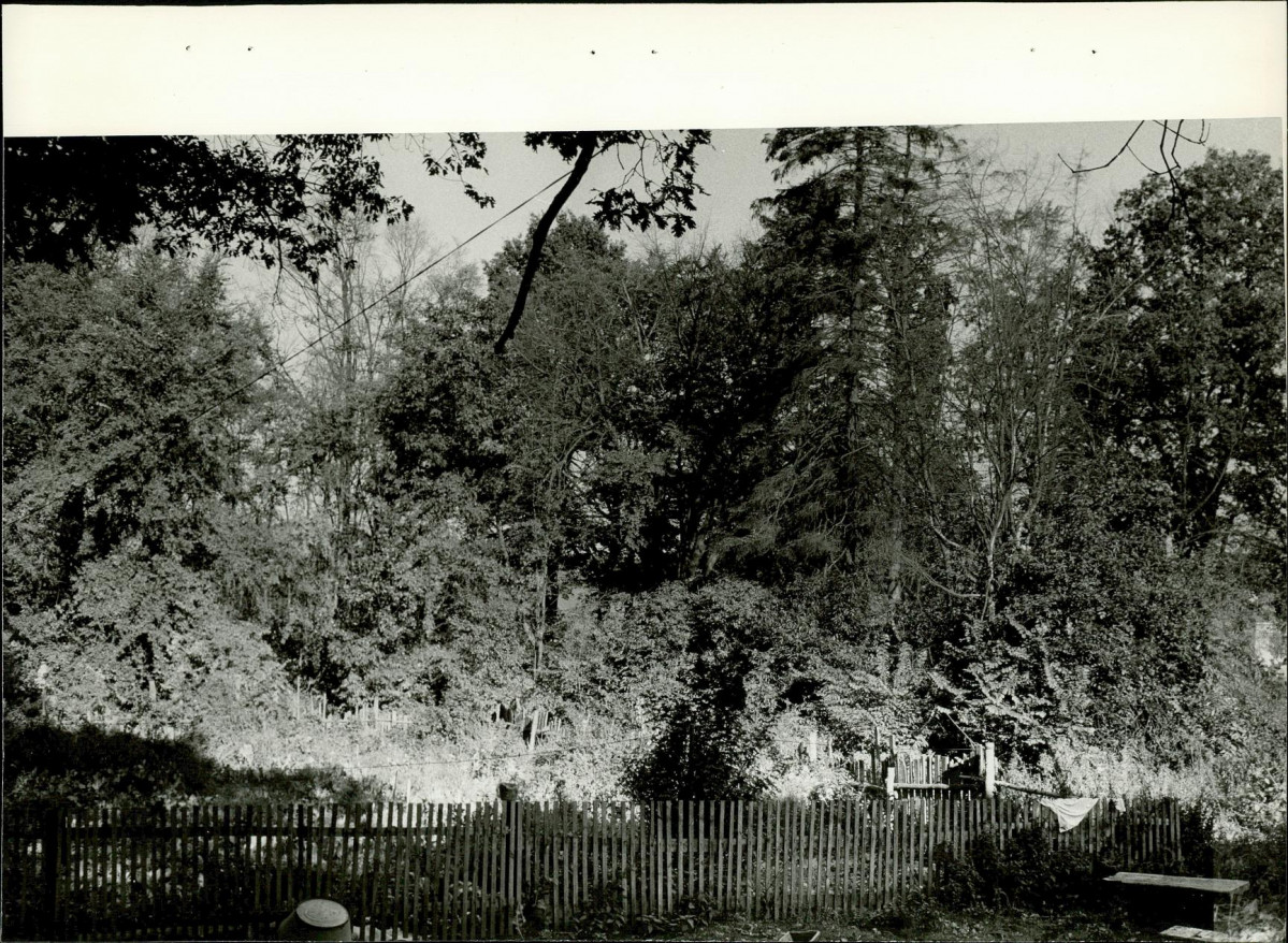 Ewidencja parkowa, skan nr 16