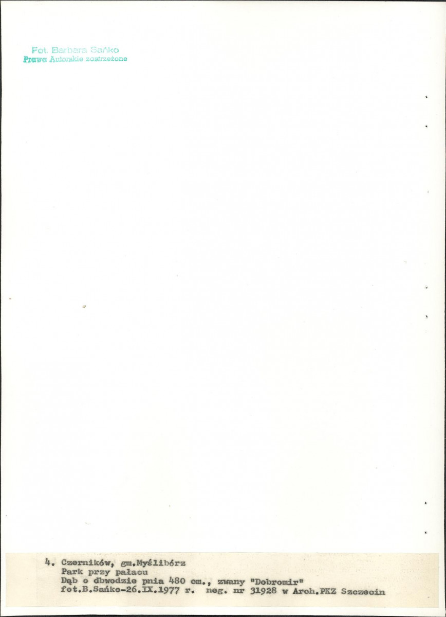 Ewidencja parkowa, skan nr 24
