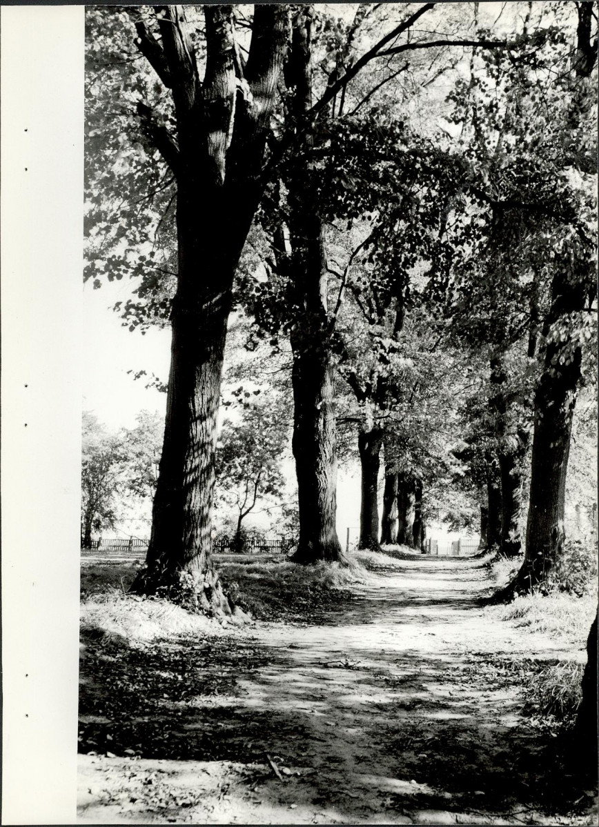 Ewidencja parkowa, skan nr 25