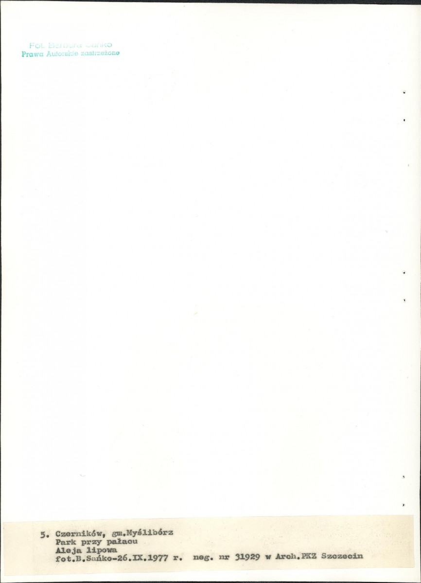 Ewidencja parkowa, skan nr 26