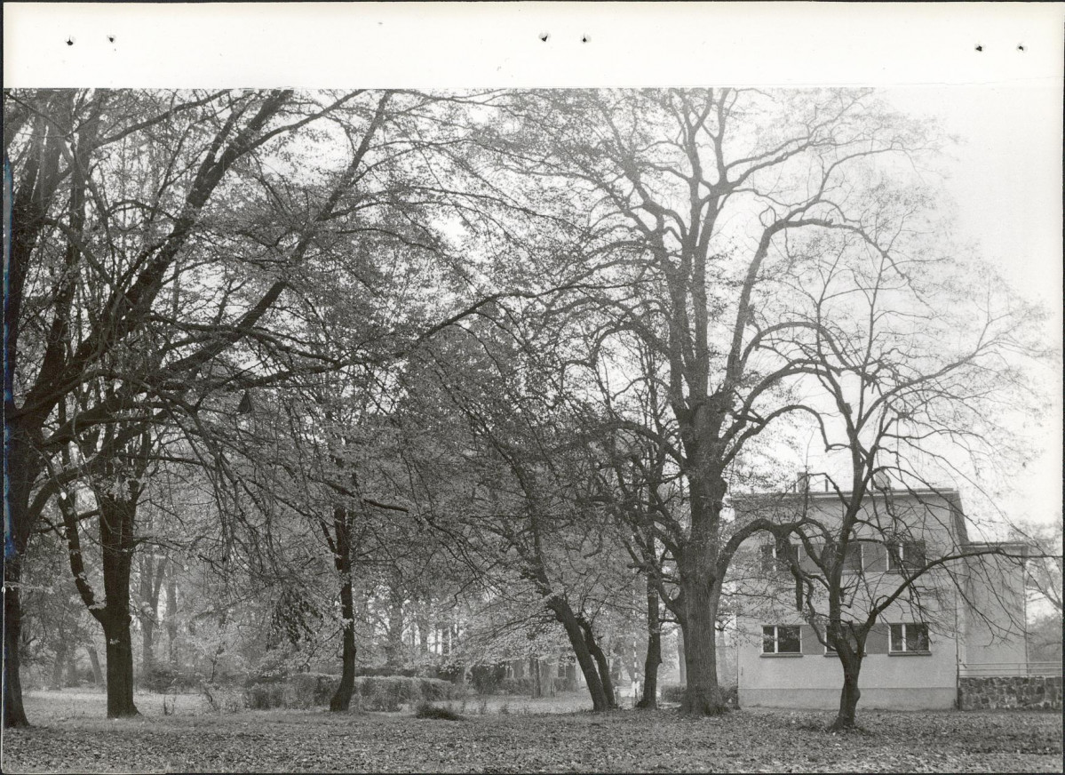 Ewidencja parkowa, skan nr 21