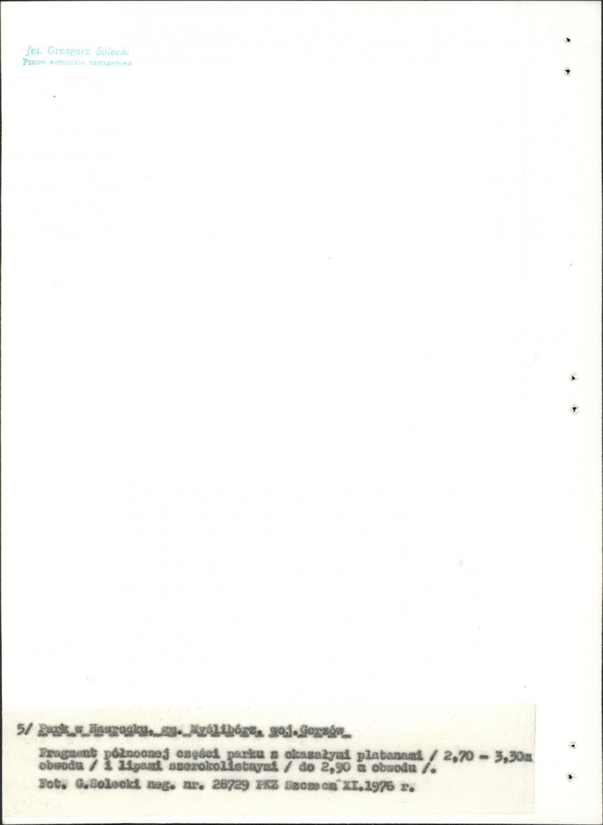 Ewidencja parkowa, skan nr 24