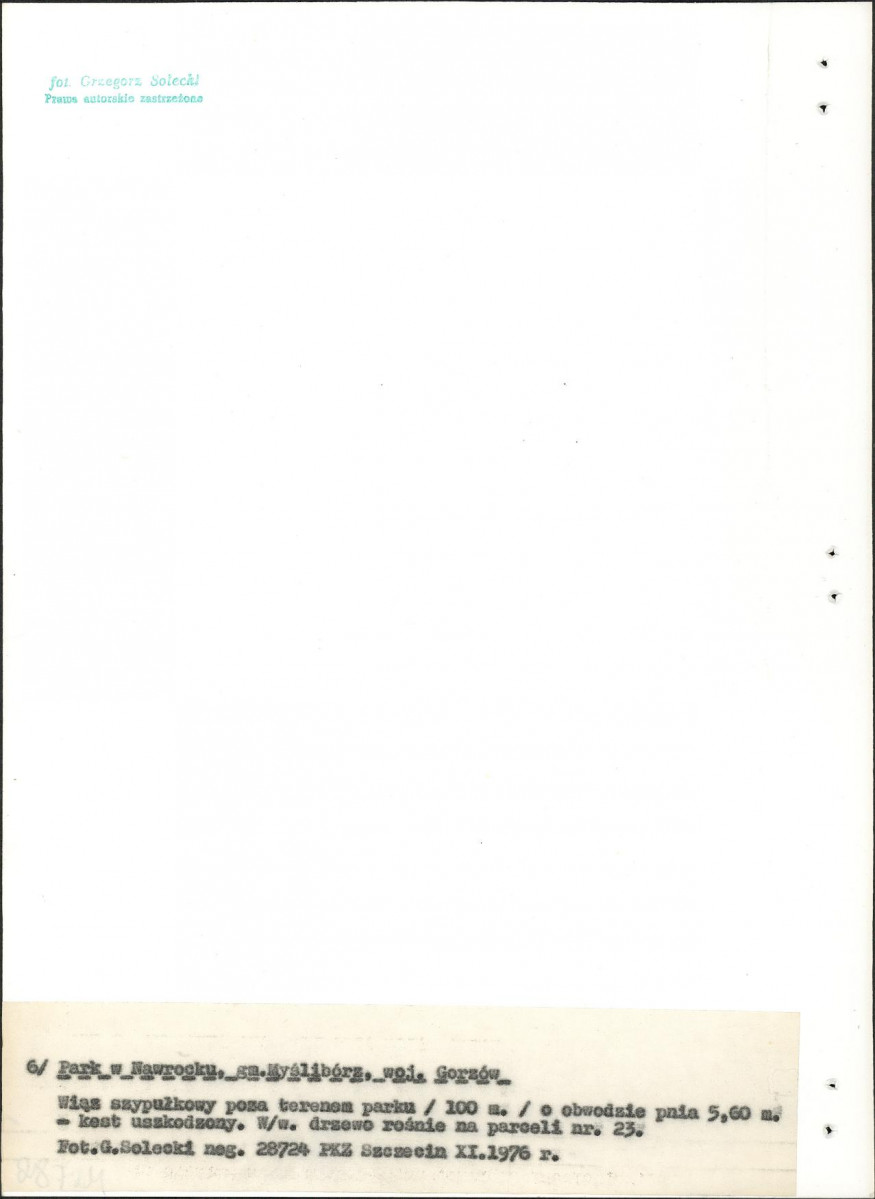 Ewidencja parkowa, skan nr 26