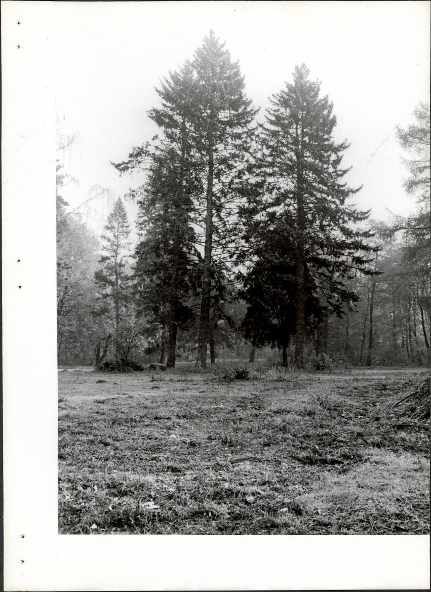 Ewidencja parkowa, skan nr 20