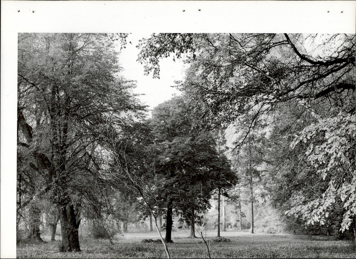 Ewidencja parkowa, skan nr 28