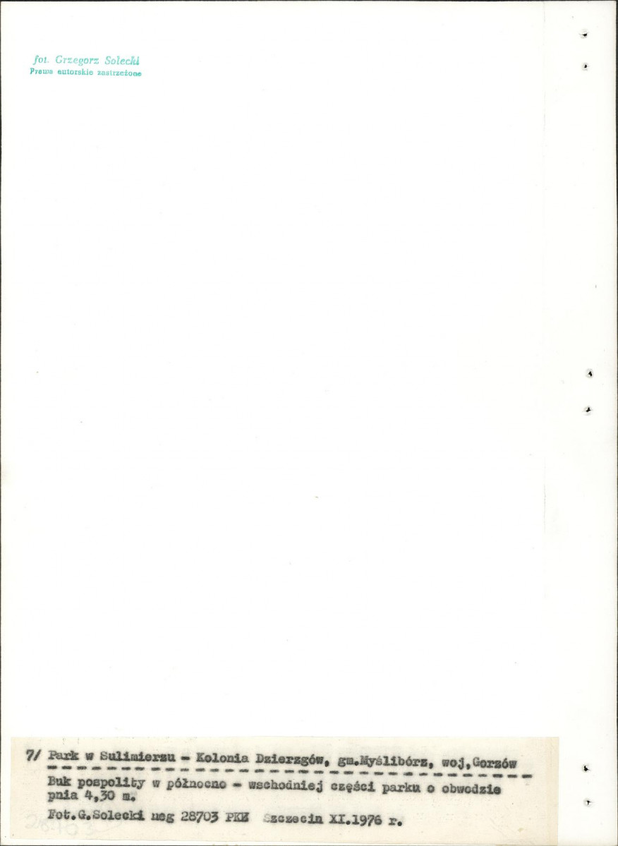 Ewidencja parkowa, skan nr 31