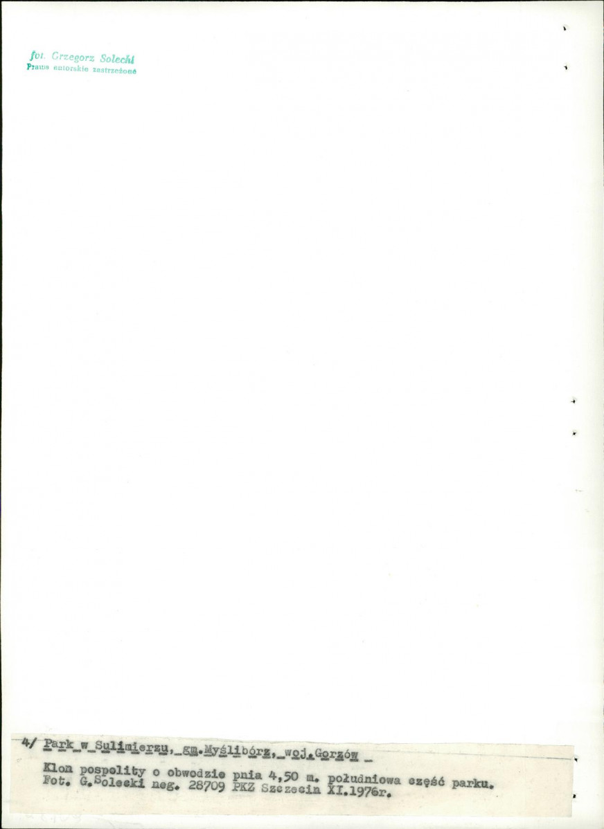 Ewidencja parkowa, skan nr 23