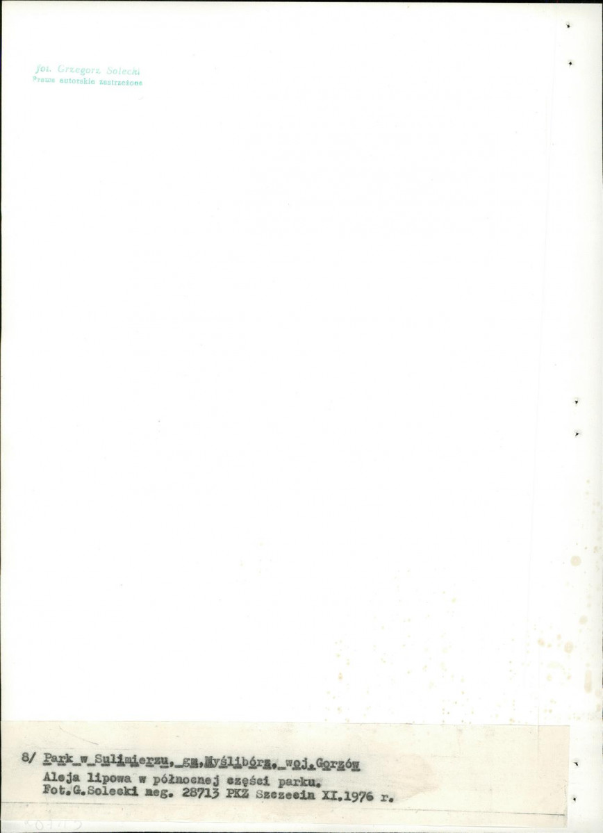 Ewidencja parkowa, skan nr 31