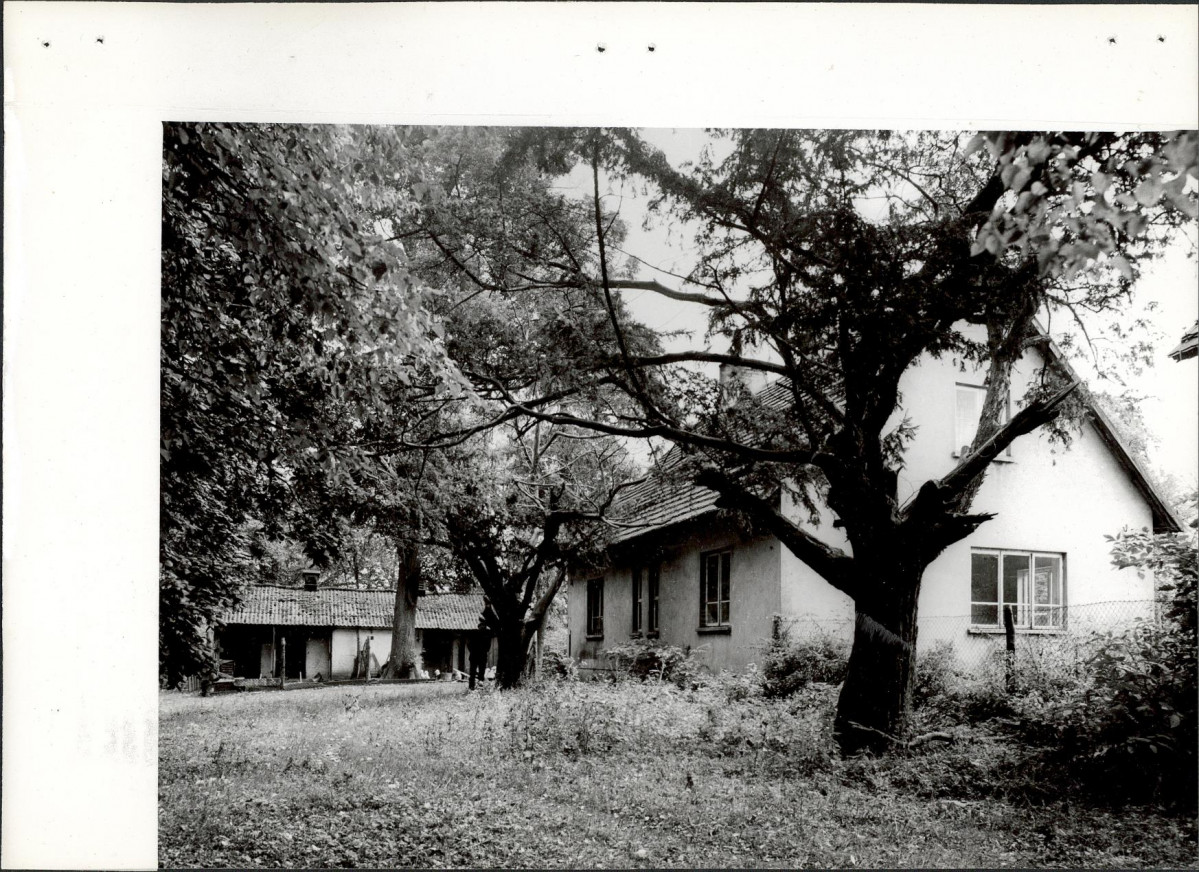 Ewidencja parkowa, skan nr 20