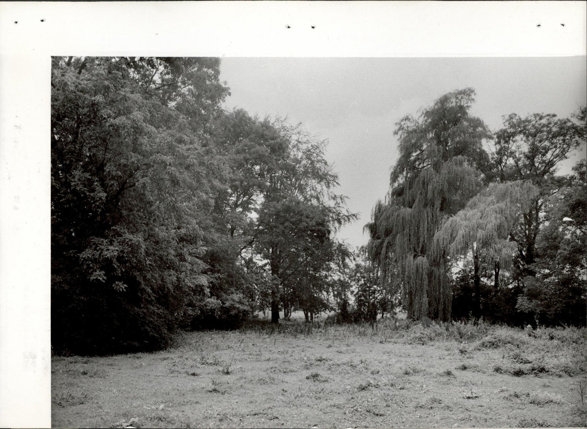 Ewidencja parkowa, skan nr 28