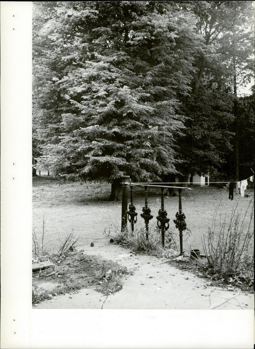 Ewidencja parkowa, skan nr 16