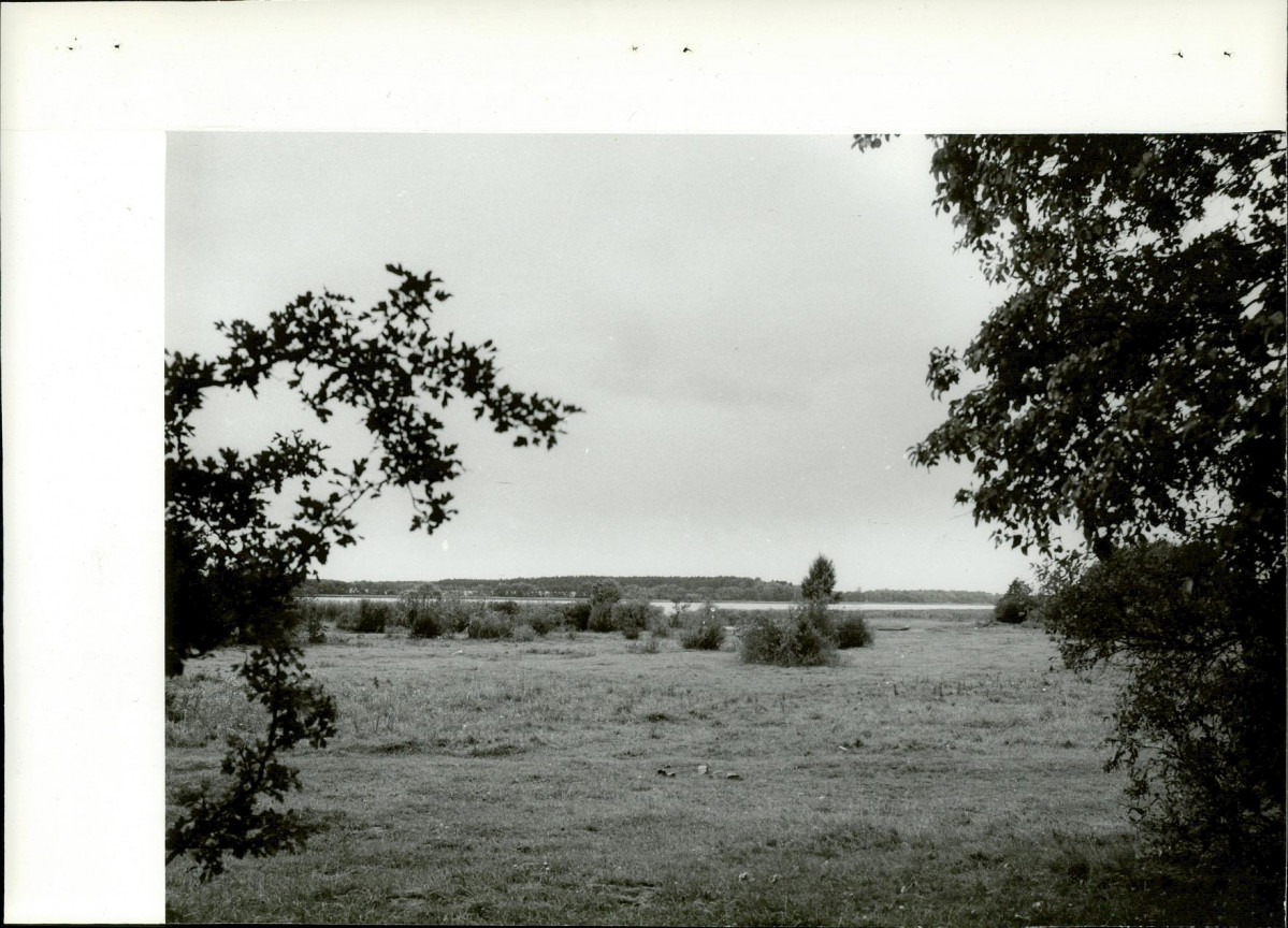 Ewidencja parkowa, skan nr 18