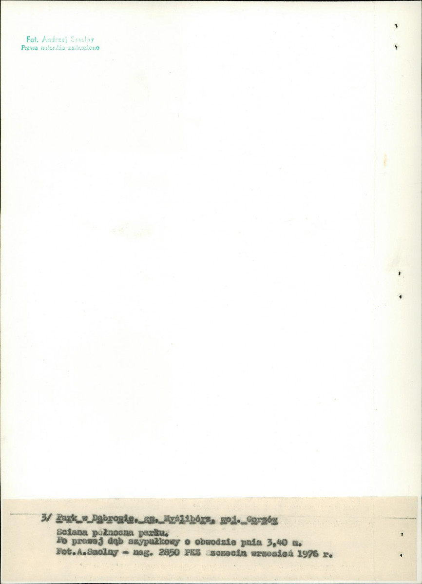 Ewidencja parkowa, skan nr 21