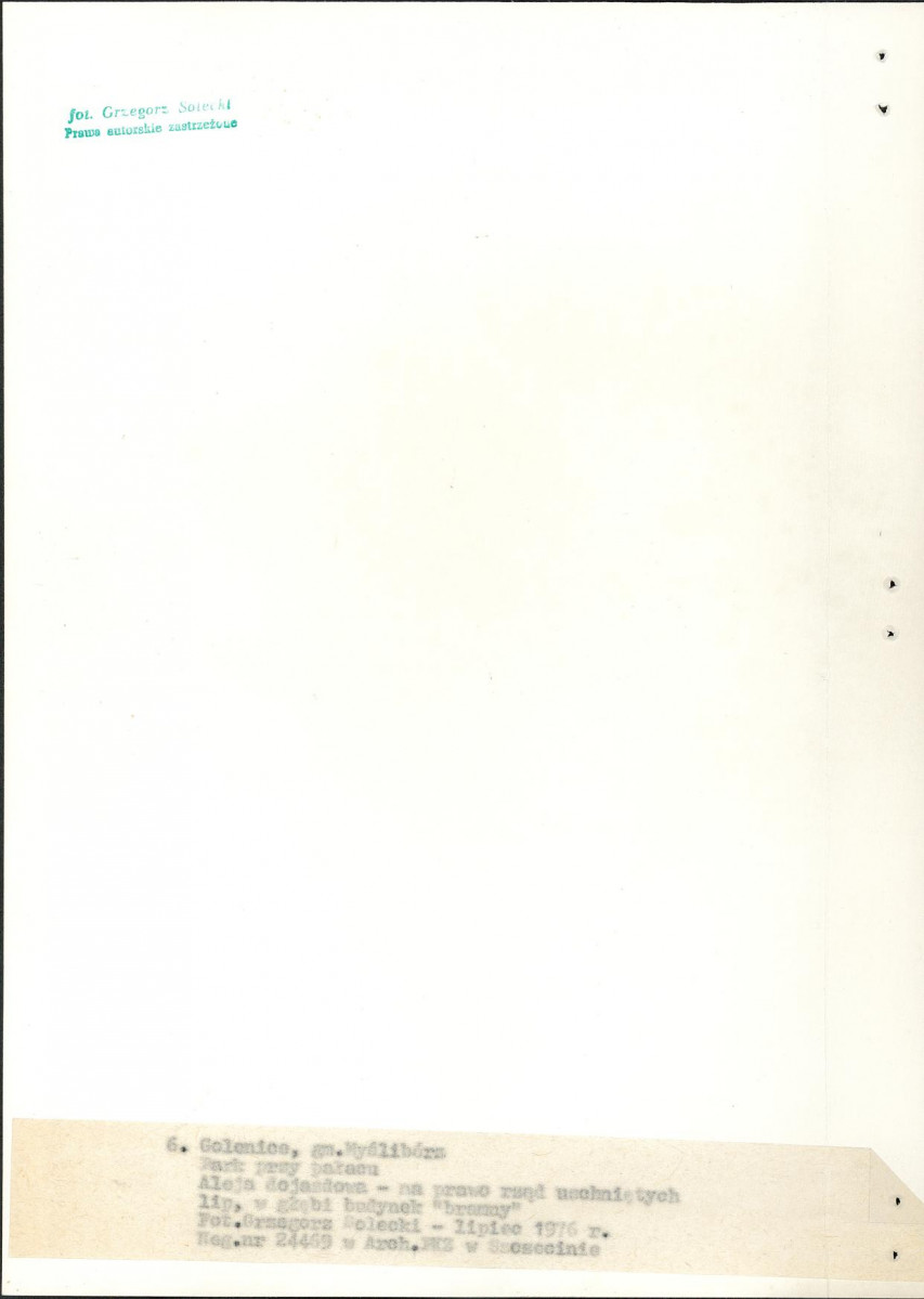 Ewidencja parkowa, skan nr 27