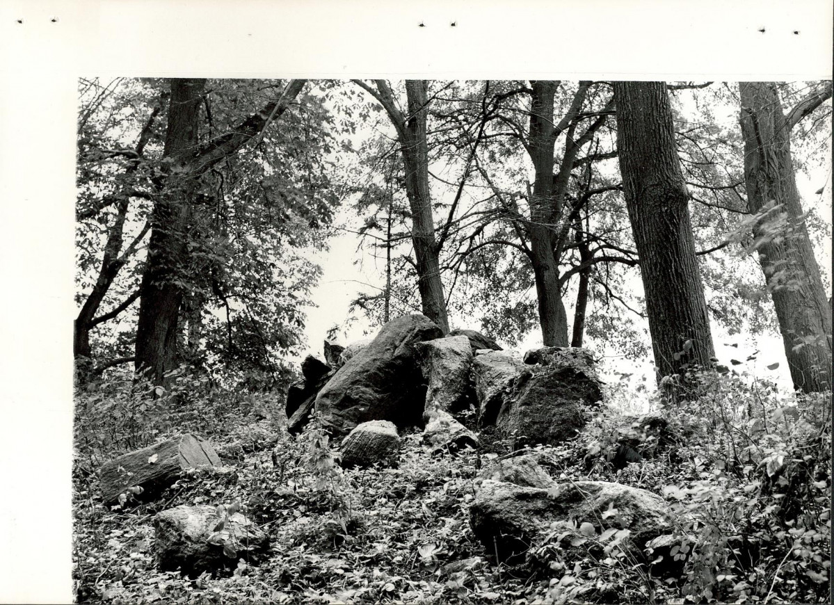 Ewidencja parkowa, skan nr 40