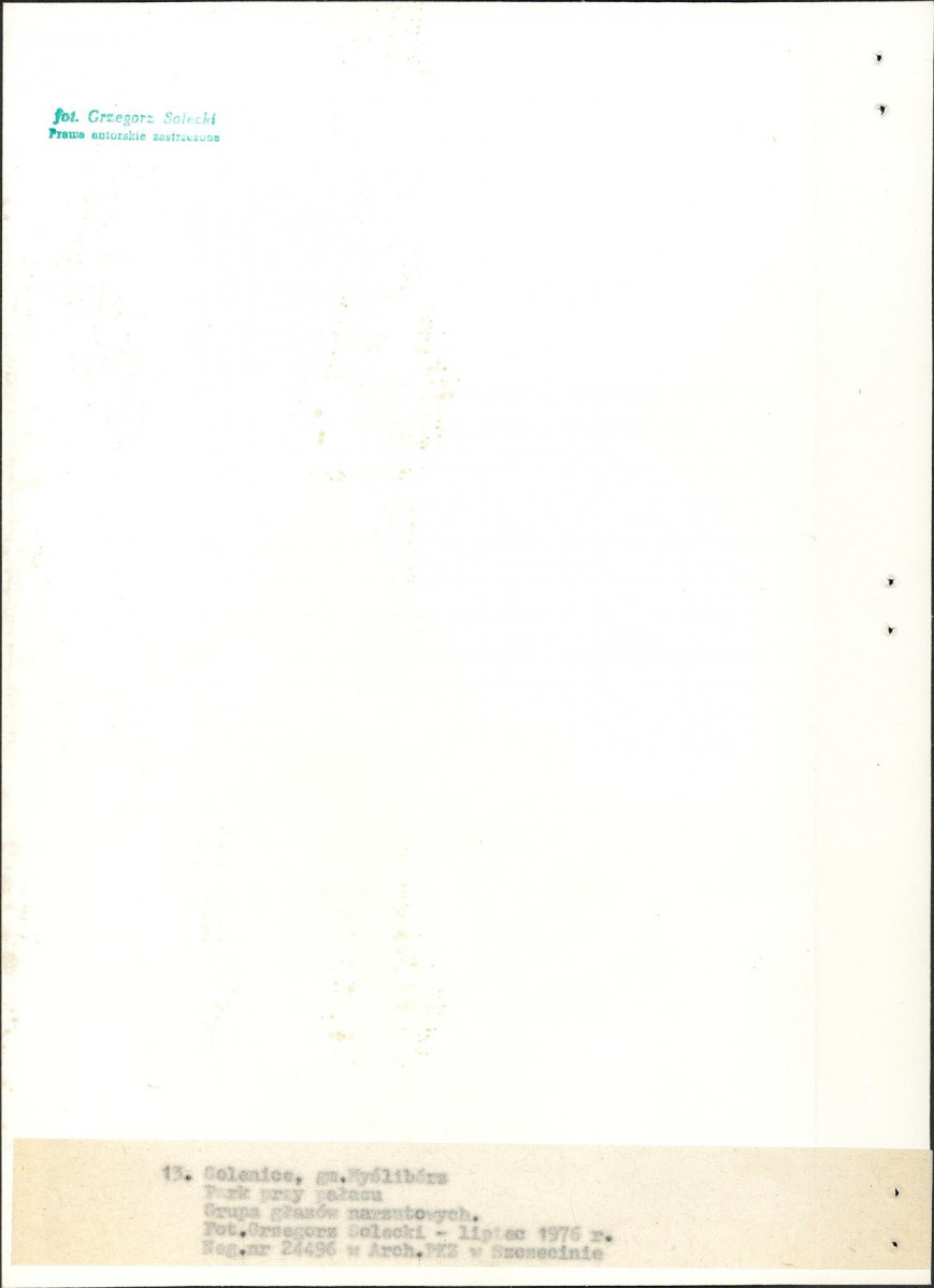Ewidencja parkowa, skan nr 41