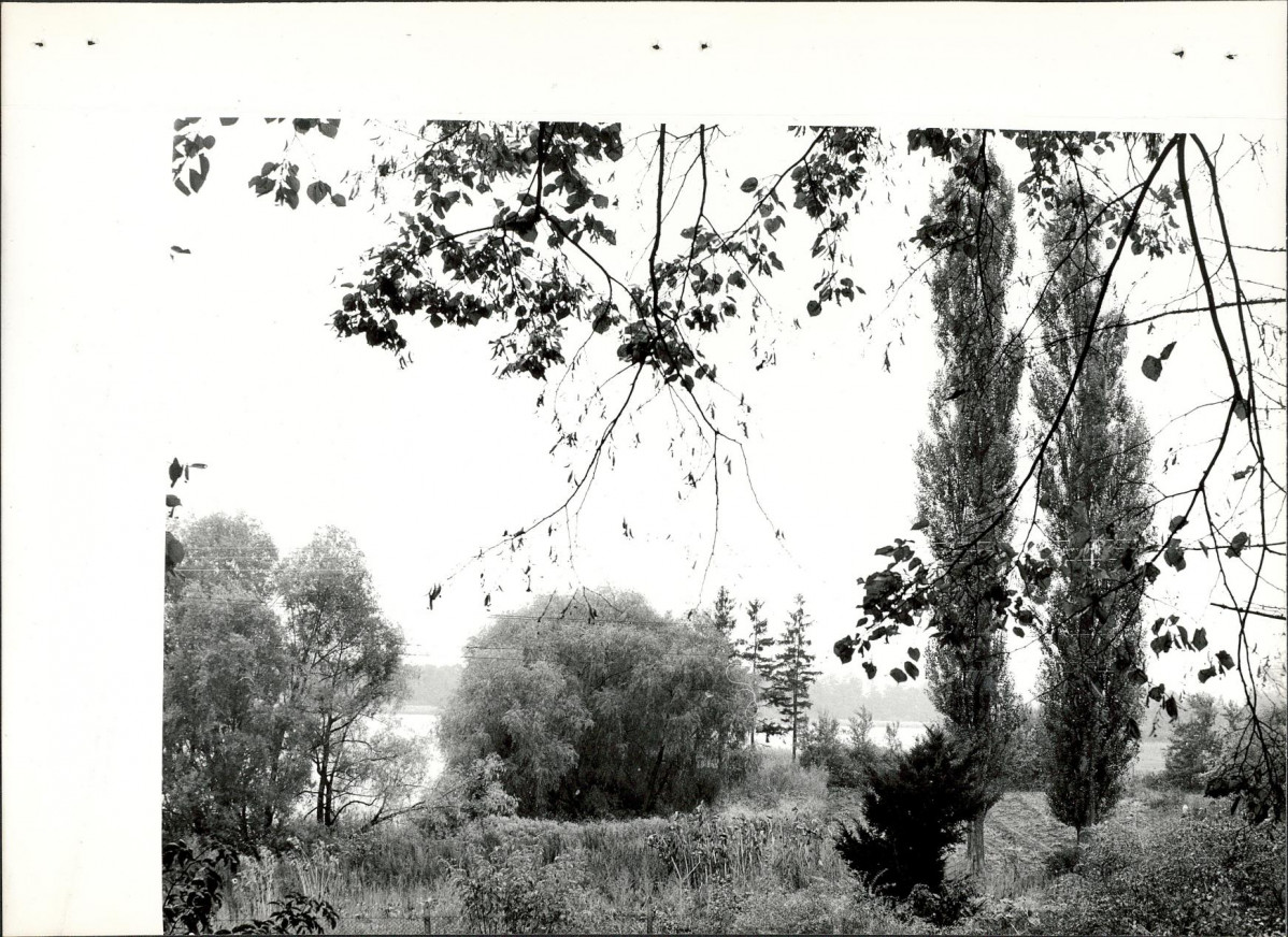 Ewidencja parkowa, skan nr 42