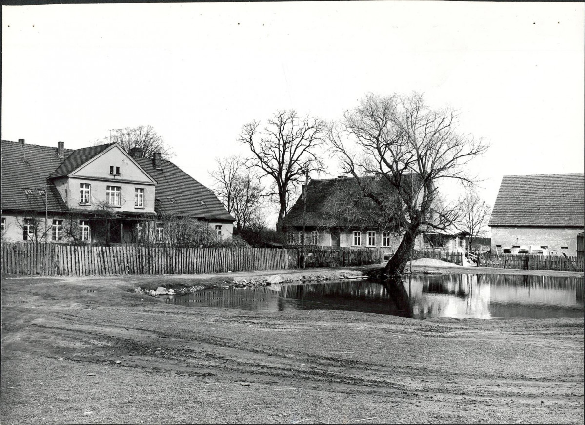 EP - Ewidencja parkowa, skan nr 14