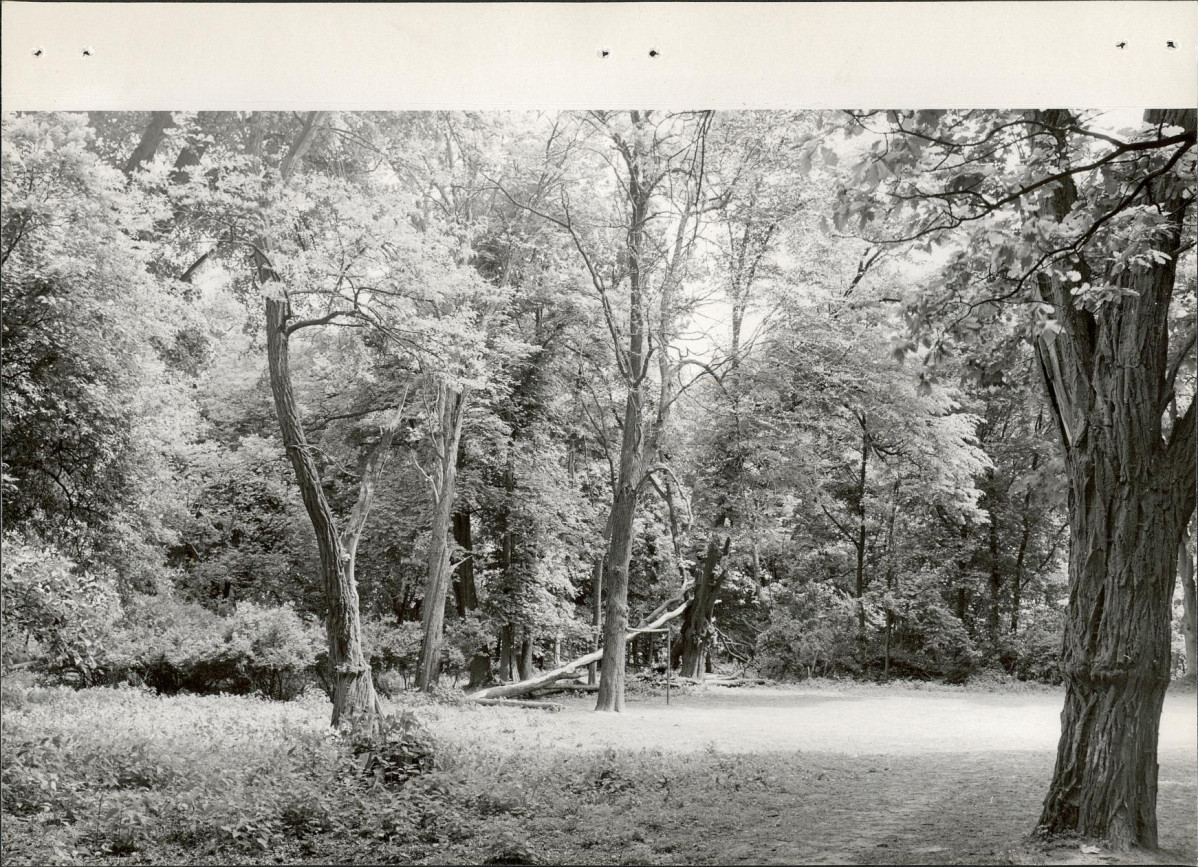 Ewidencja parkowa, skan nr 24