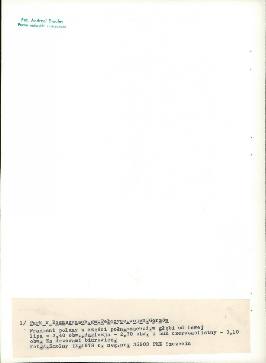Ewidencja parkowa, skan nr 23