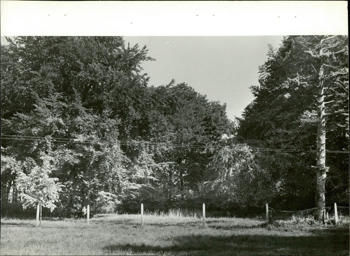 Ewidencja parkowa, skan nr 24