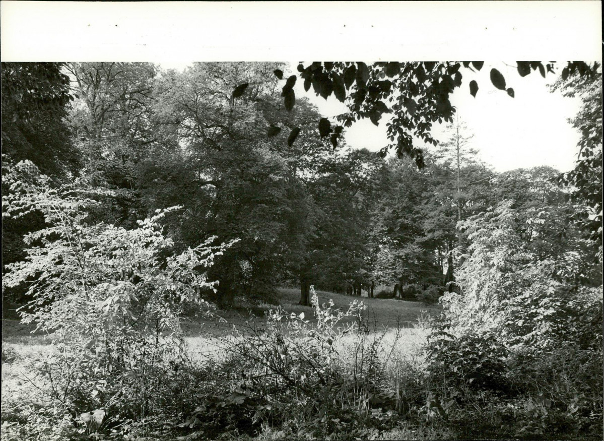 Ewidencja parkowa, skan nr 28