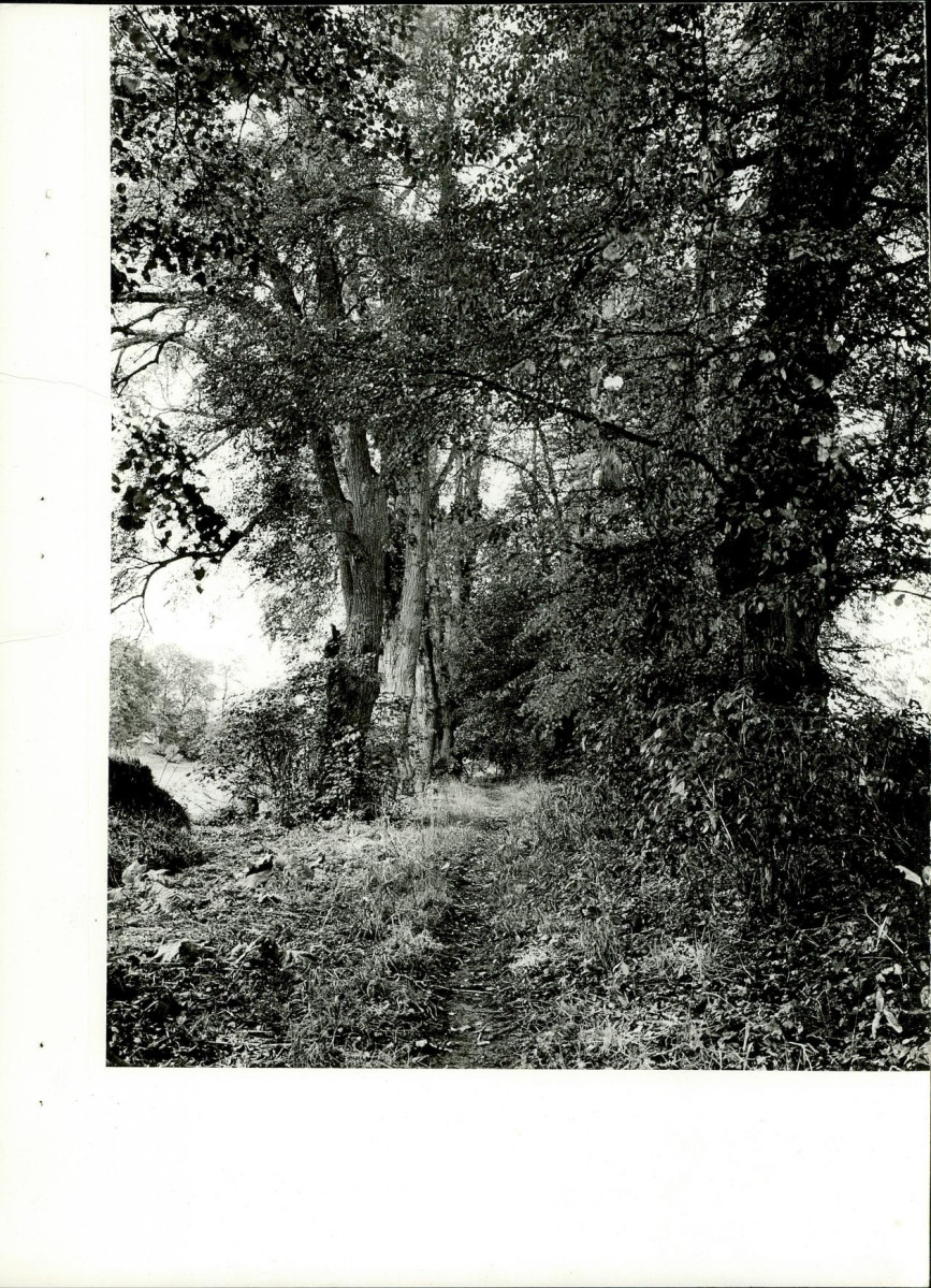 Ewidencja parkowa, skan nr 30